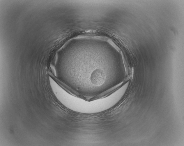 X0000115381443200911171425