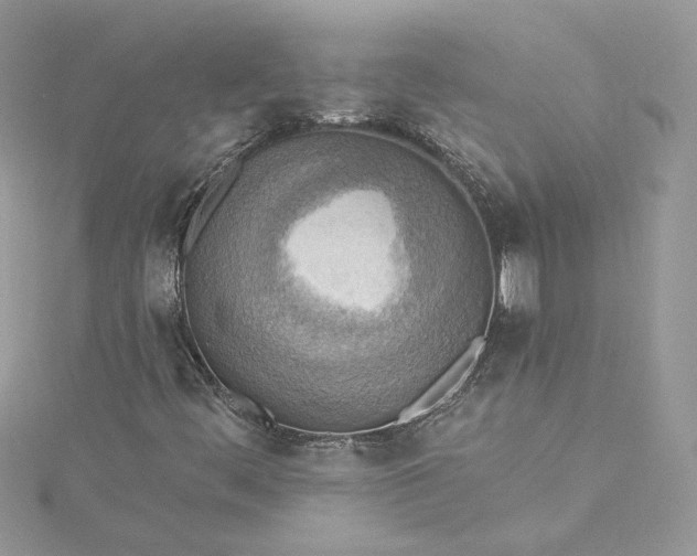 X0000115381444200911171425