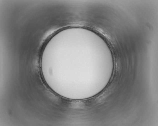 X0000115381454200911171425