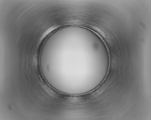 X0000115381458200911171425
