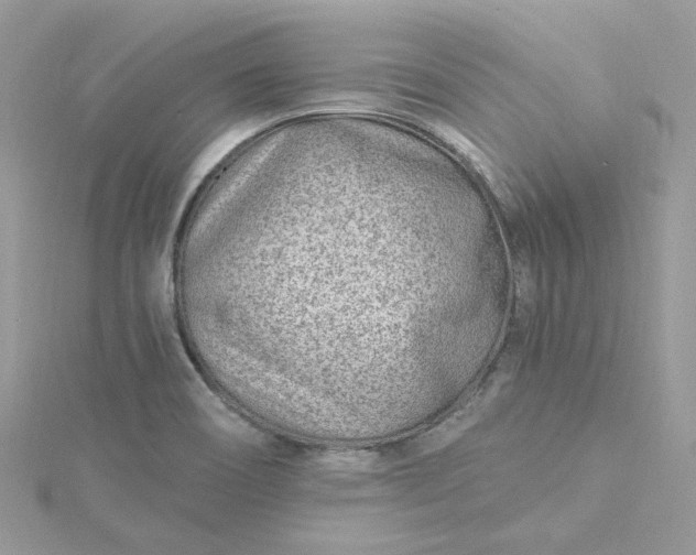 X0000115381466200911171425