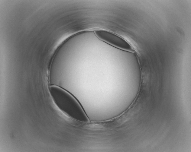 X0000115381476200911171425