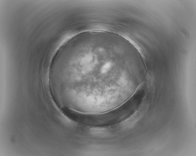 X0000115381477200911171425