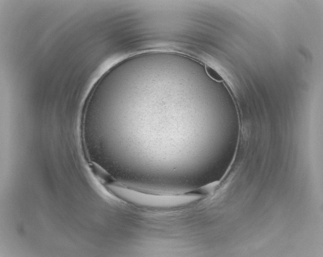 X0000115381482200911171425