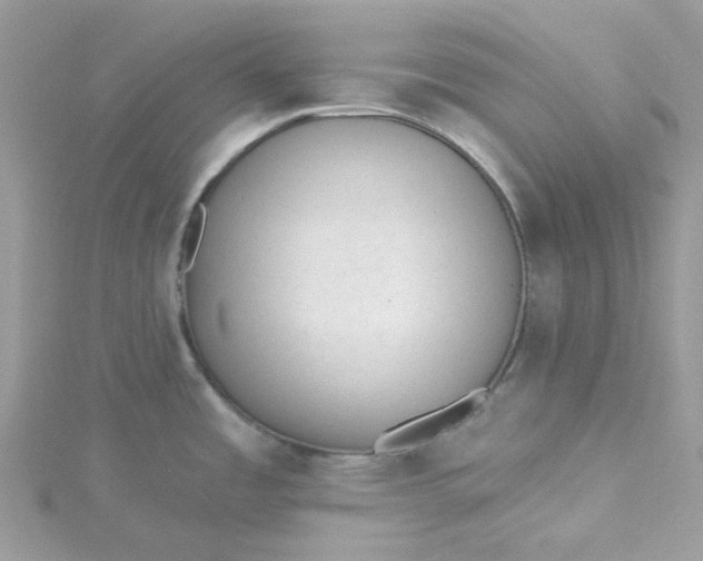 X0000115381485200911171425