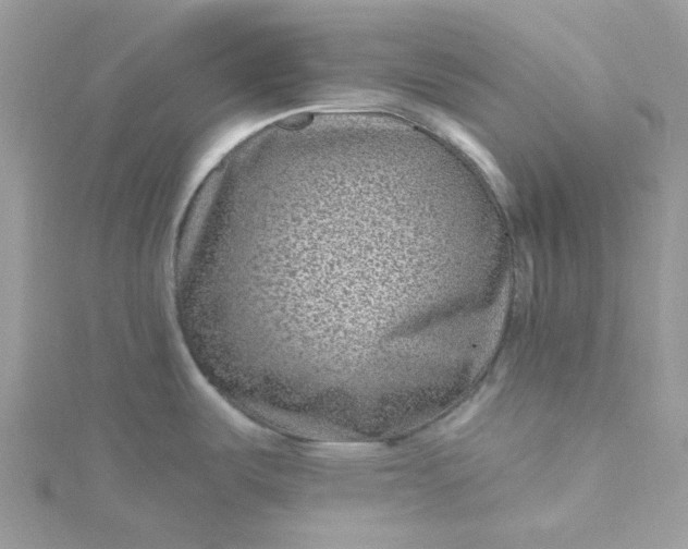 X0000115381487200911171425