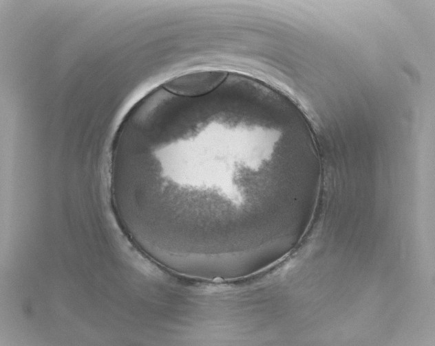 X0000115381522200911171424