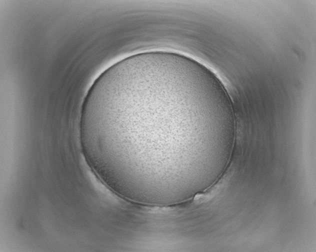 X0000115381534200911171425
