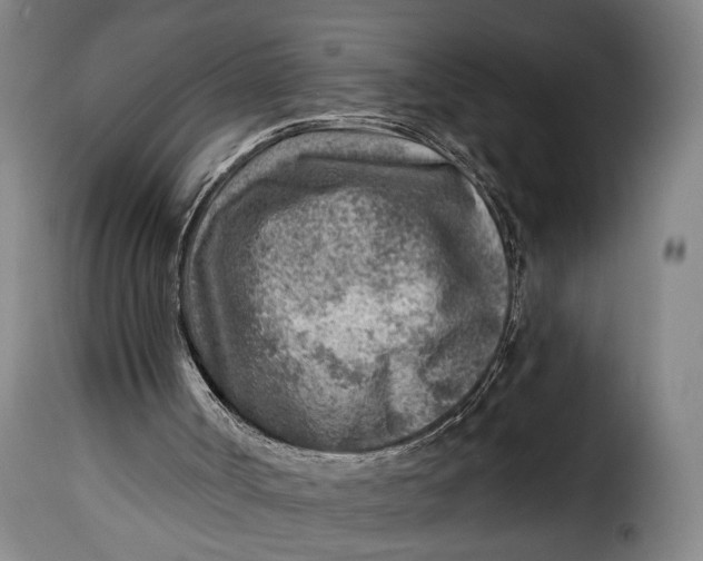 X0000115380002200911241314