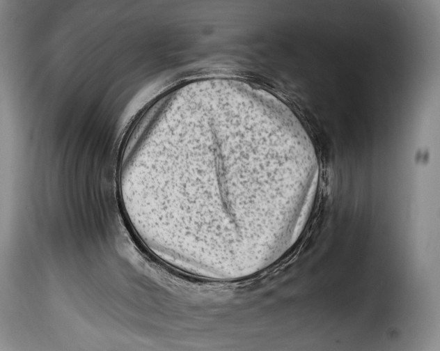 X0000115380004200911241314