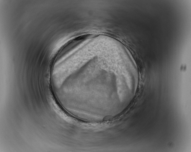 X0000115380005200911241314