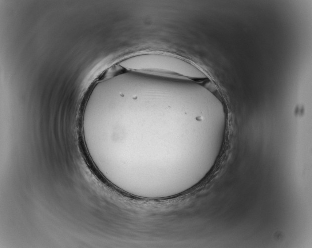 X0000115380007200911241314