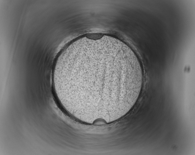 X0000115380011200911241314