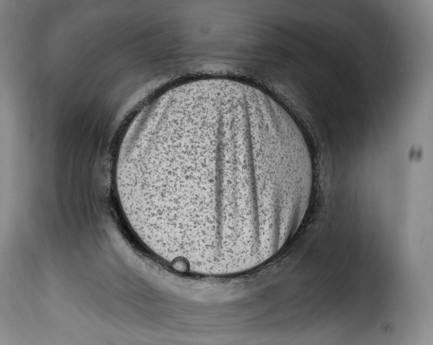 X0000115380016200911241314