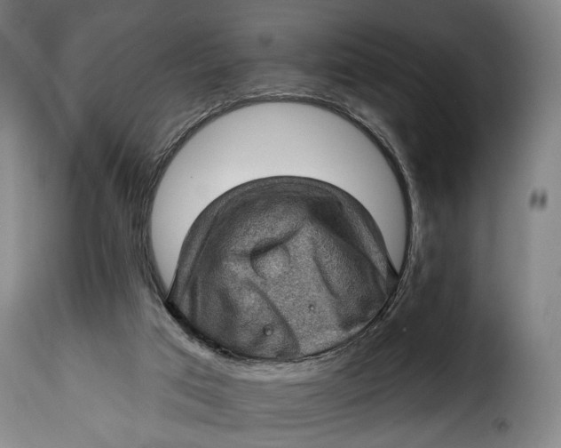 X0000115380017200911241314