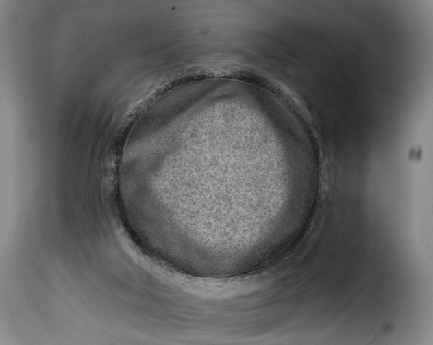 X0000115380018200911241314