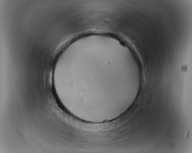 X0000115380019200911241314