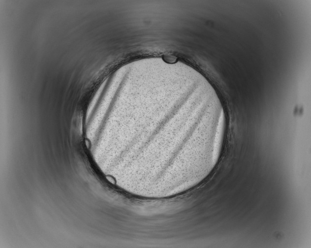 X0000115380021200911241314