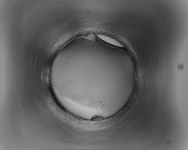 X0000115380023200911241314