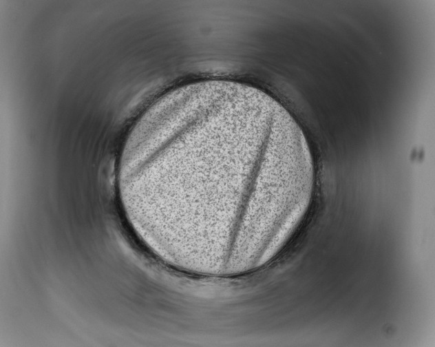 X0000115380024200911241314