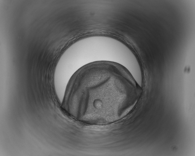 X0000115380025200911241314