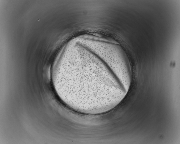 X0000115380028200911241314