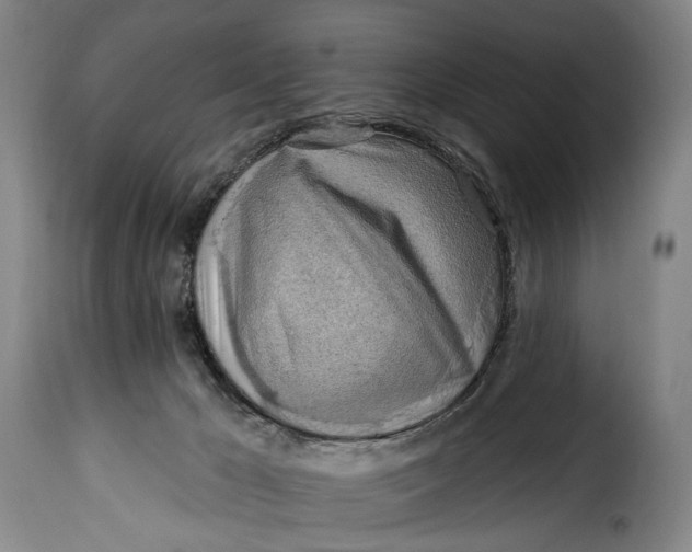 X0000115380029200911241314