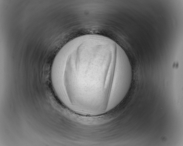 X0000115380030200911241314