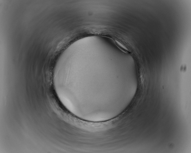 X0000115380031200911241314