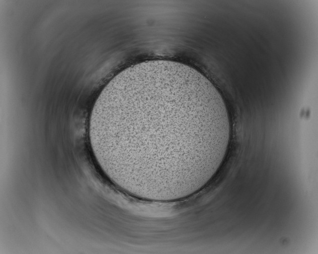 X0000115380032200911241314