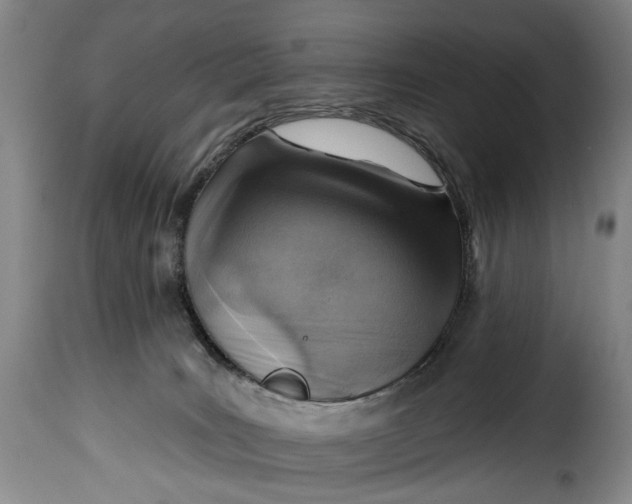 X0000115380035200911241314