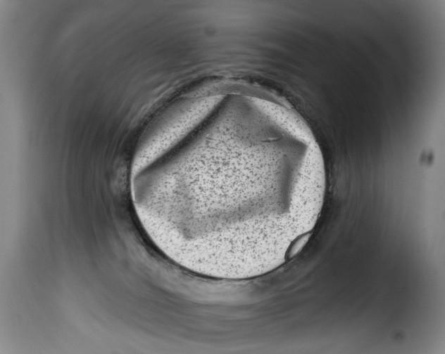 X0000115380036200911241314