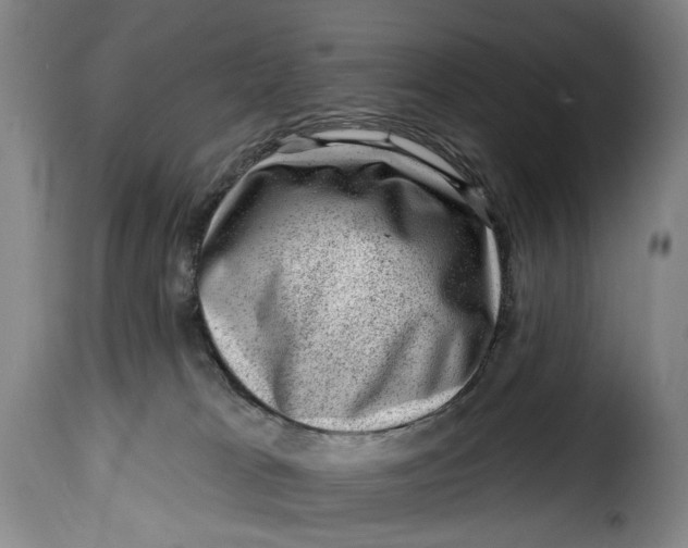 X0000115380037200911241314