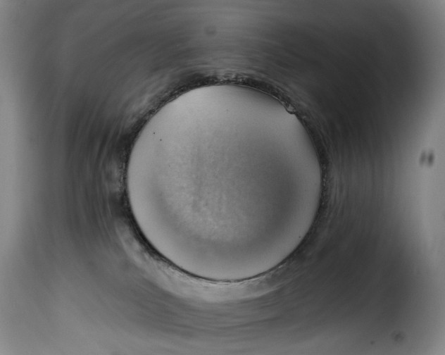 X0000115380039200911241314