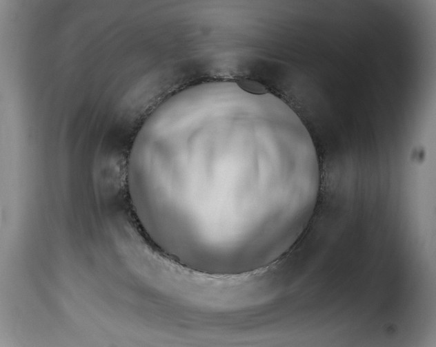 X0000115380043200911241313