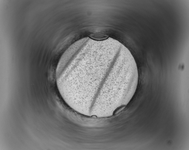 X0000115380044200911241313