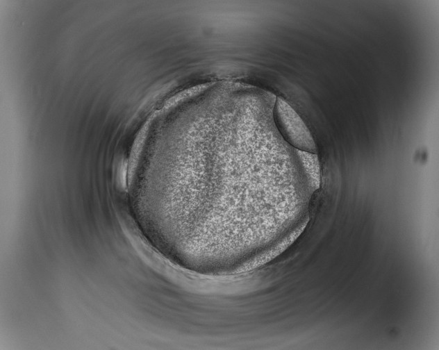 X0000115380046200911241313