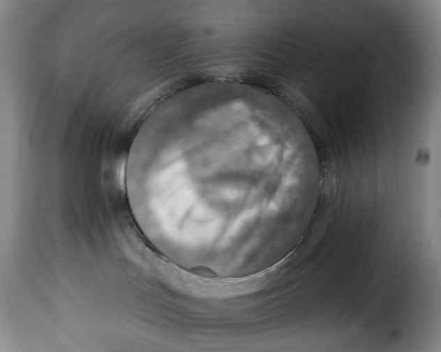 X0000115380047200911241313