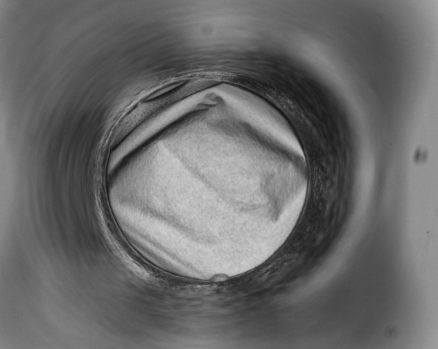 X0000115380049200911241312