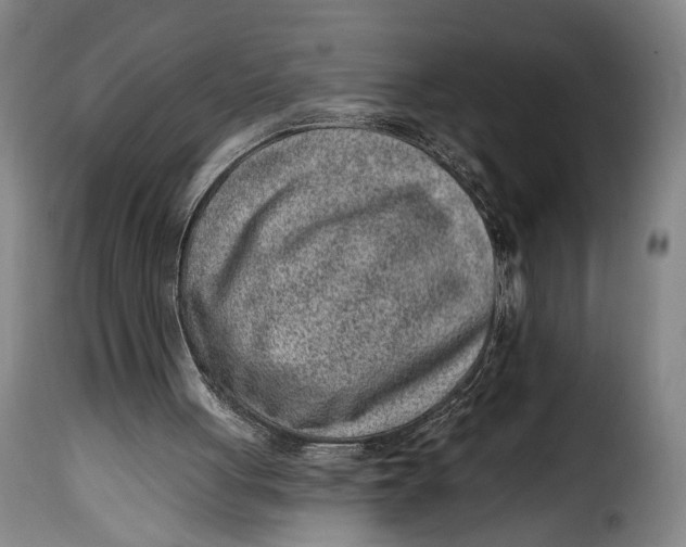 X0000115380051200911241312