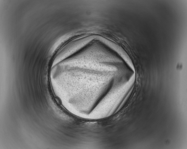 X0000115380054200911241312