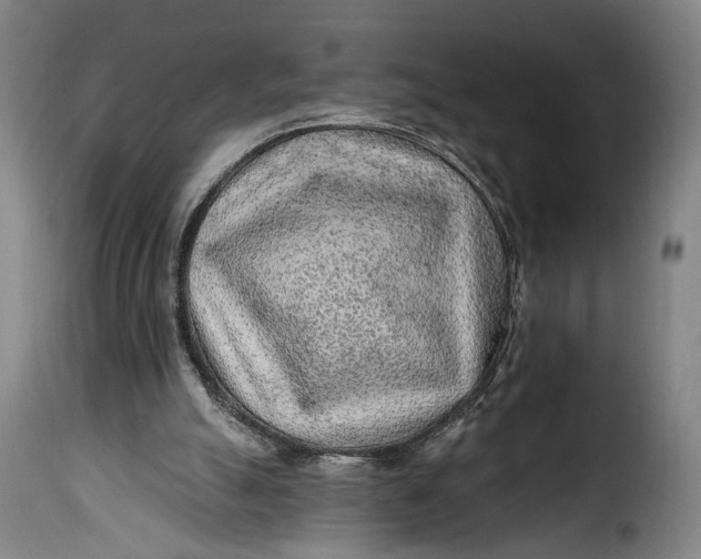 X0000115380055200911241313