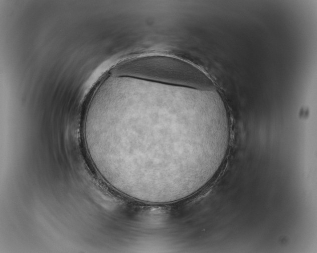 X0000115380056200911241313