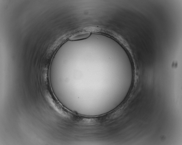 X0000115380057200911241313