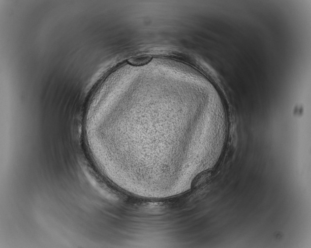 X0000115380059200911241313