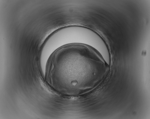 X0000115380060200911241313