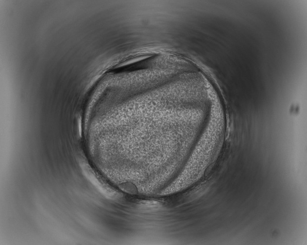 X0000115380061200911241313