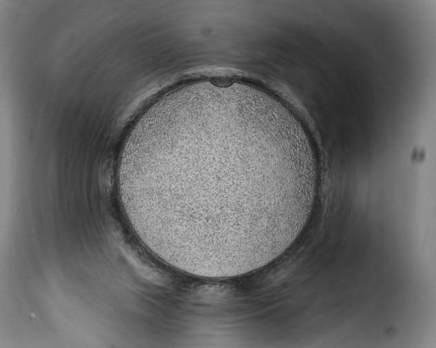 X0000115380063200911241313