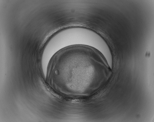 X0000115380064200911241313