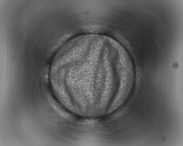 X0000115380065200911241313